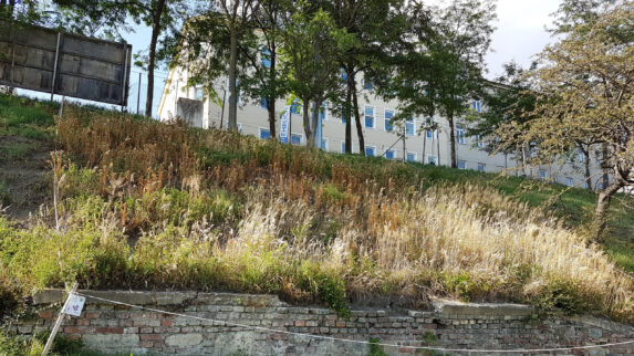 Portraitfoto von Matthäus Ploderer